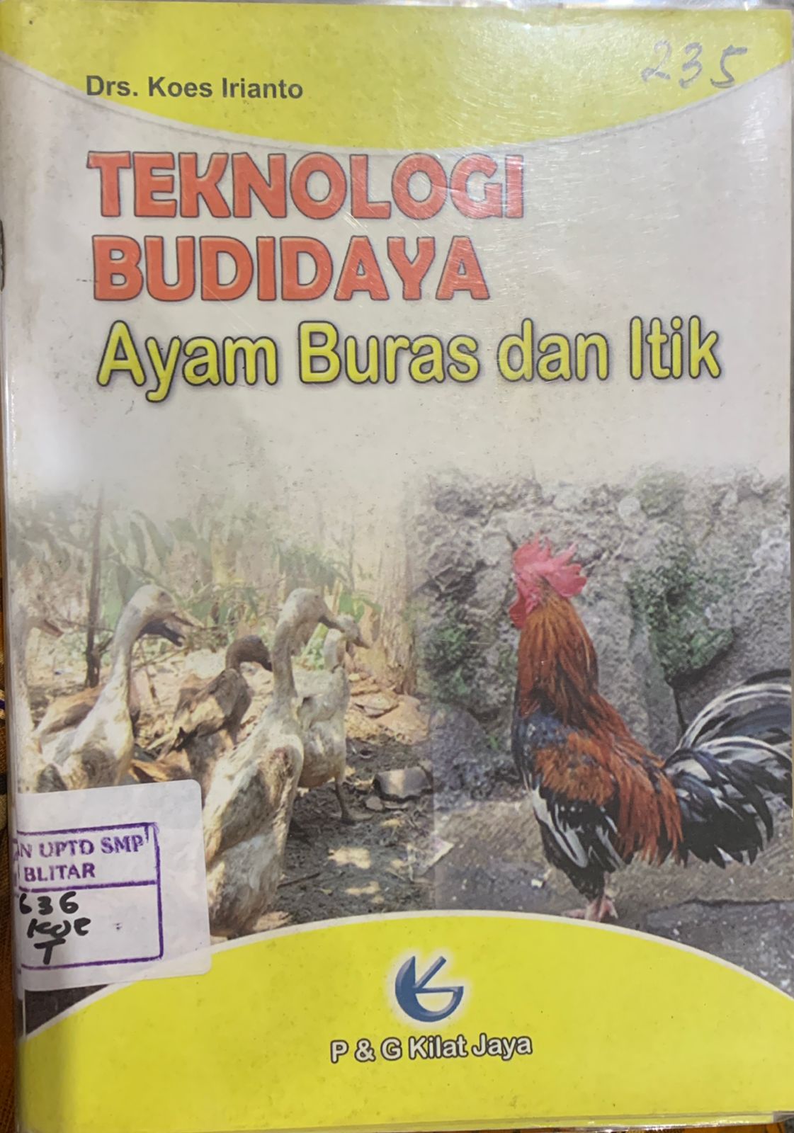Teknologi Budidaya Ayam Buras Dan Itik