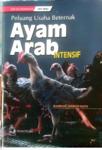 Image of Peluang Usaha Beternak Ayam Arab Intensif